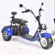 Электроскутер SMARDA CityСoco 3-колёсный (СТ-002) TIRE 8 двухместный 37008 фото 5