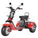 Электроскутер SMARDA CityСoco 3-колёсный (СТ-002) TIRE 8 двухместный 37008 фото 3
